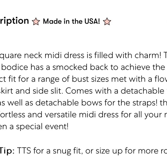 Show Me Your MUMU midi dress in Antique Rose Chiffon - Picture 9 of 9